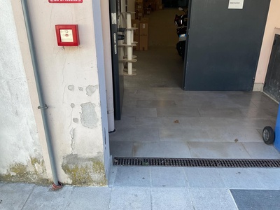 Ingresso artisti
