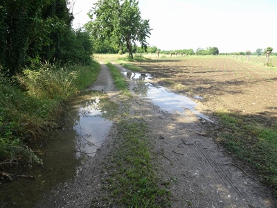 Photo 5 - Dirt road