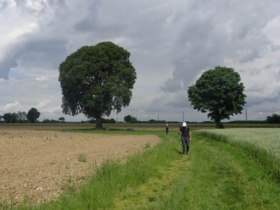 Photo 27 - View of the tree with equipped area