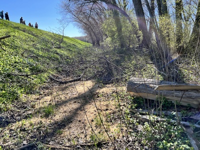 Foto 71 - Presenza di alberi caduti che interrompono il percorso