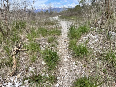 Photo 38 - Gravel path with embankments about 1 meter high