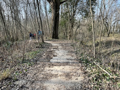 Photo 14 - Path on paved trail