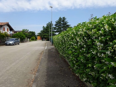 Photo 19 - Continuation of the path on the sidewalk