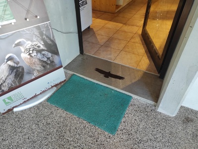 Ingresso, dettaglio della soglia