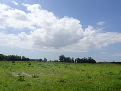 Photo 39 - Path through the fields