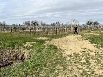 Foto 45 - Ponticello sul canale di irrigazione