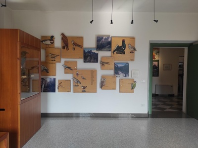 Saletta didattica, pannelli