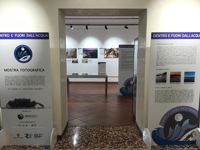 Accesso sala mostre temporanee