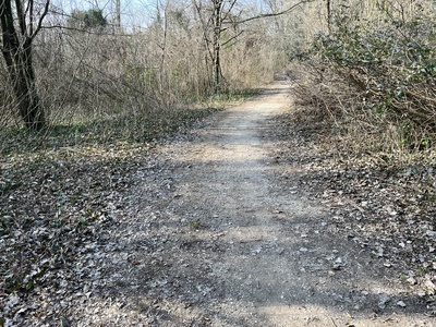 Photo 17 - Path on dirt trail