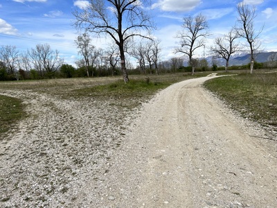 Photo 31 - Fork, the path continues on the left