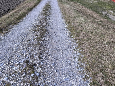 Photo 5 - Path on dirt road