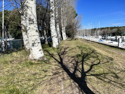 Foto 16 - Percorso erboso e sterrato lungo il canale, con profondi avvallamenti e pozzanghere