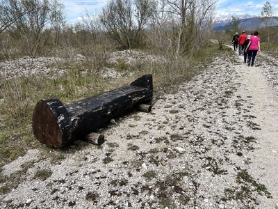 Photo 40 - Bench made from a large tree trunk