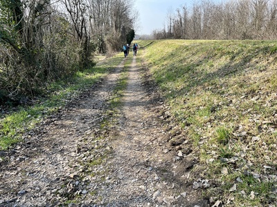 Photo 20 - Path on dirt trail