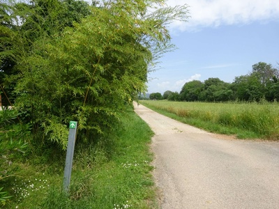 Photo 22 - Directional sign for the path