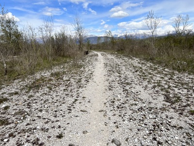 Photo 39 - Wide gravel path