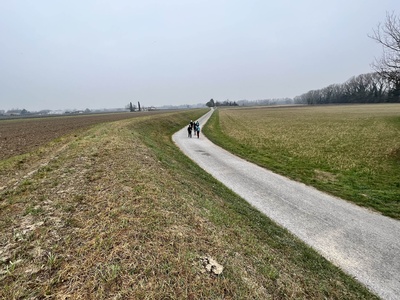 Foto 48 - Percorso su strada asfaltata