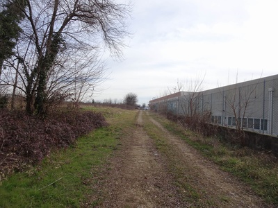 Photo 38 - Path on dirt road