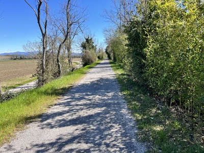 Photo 83 - Path on fine gravel road