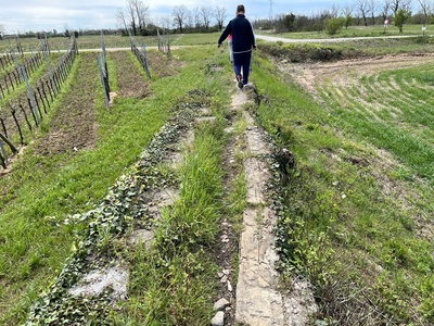 Photo 26 - Last stretch of the path on the embankment with uneven ground and wooden planks