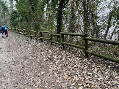 Photo 32 - Path on gravel trail