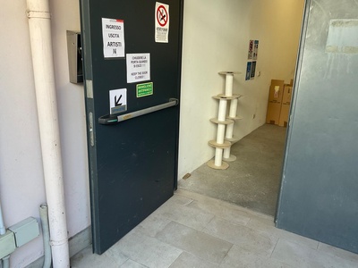 Ingresso artisti