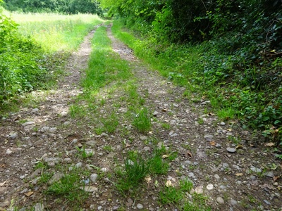 Photo 28 - Dirt path with large stones