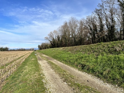 Photo 41 - Path on dirt road