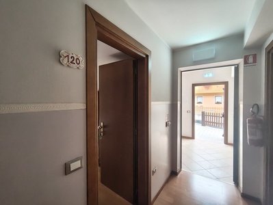Ingresso