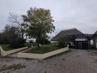 Fine percorso - acquario e osservatorio