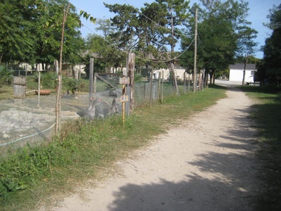 Sentiero in terra battuta che costeggia i recinti degli animali da fattoria. 