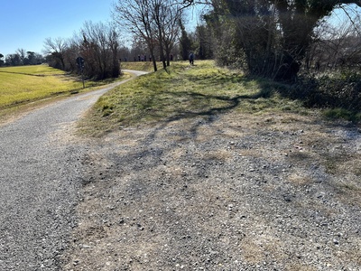 Photo 91 - Path on grassy trail