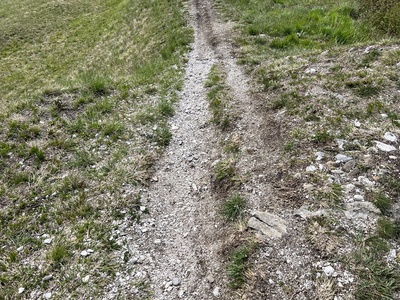 Photo 18 - Path with irregularities and uneven in some sections