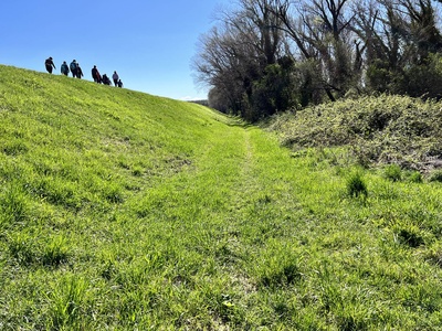 Photo 69 - Path on grassy dirt road