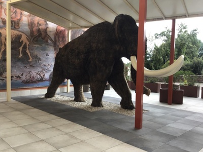 Area esterna con Mammut