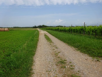 Photo 25 - Path on dirt ground with large gravel