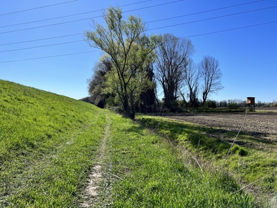 Photo 63 - Path on grassy dirt road