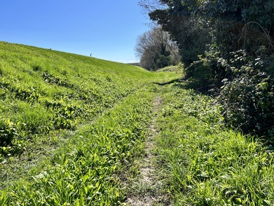 Photo 67 - Path on grassy dirt road