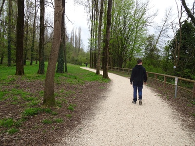 Photo 12 - Path with gravel surface