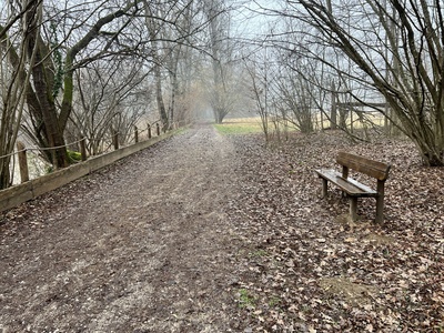 Photo 16 - Bench beside the path