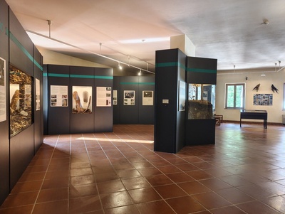 Sala 2 - La Foresta di Tarvisio