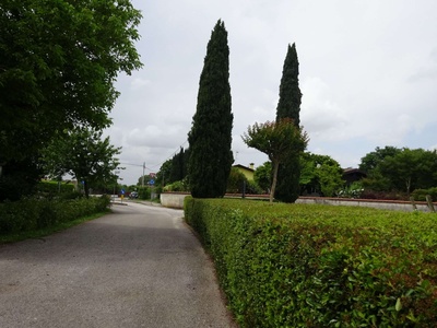 Photo 55 - Path on the paved road