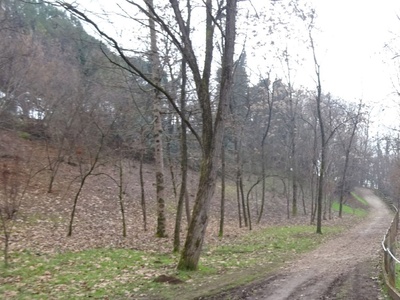 Photo 10 - Dirt path with a slope of 10 to 20 degrees 