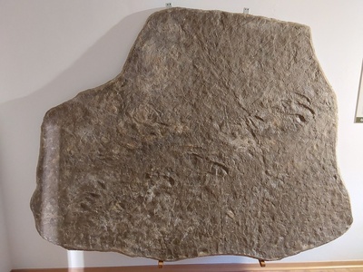 Masso tracce del Saurobech
