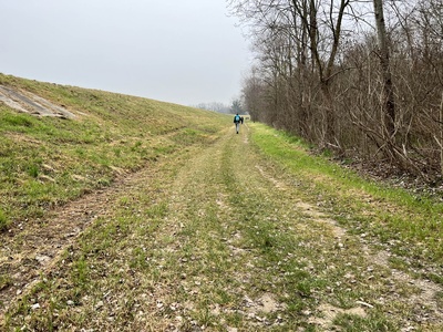 Photo 58 - Path on grassy dirt road