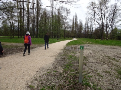 Foto 10 - Vialetto con fondo in ghiaia, segnale indicatore del percorso