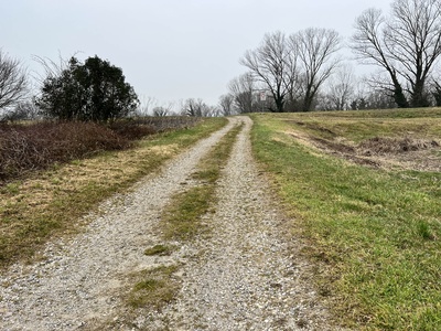 Photo 55 - Path on dirt road