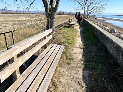 Photo 98 - Benches for resting