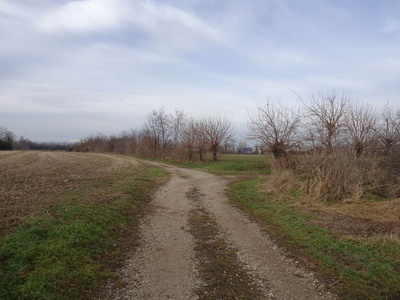 Photo 5 - Path on dirt road