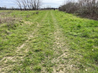 Photo 16 - Path almost entirely grassy